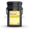 Shell Morlina S2 B 100